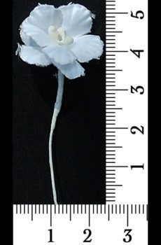 30-081 Virág - fehér