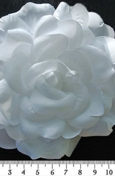 30-105 Virág - fehér