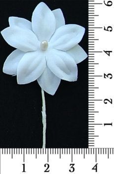 30-136 Művirág margaréta