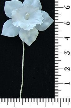 30-169 Virág - fehér