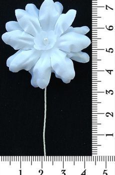 30-172 Virág - fehér