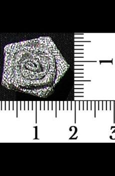 30-193 Virág - Ezüst rozetta