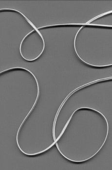 31-017 Fehér fényes zsinór